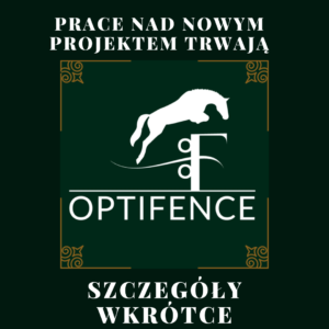 Read more about the article Nowy rok, nowe możliwości!